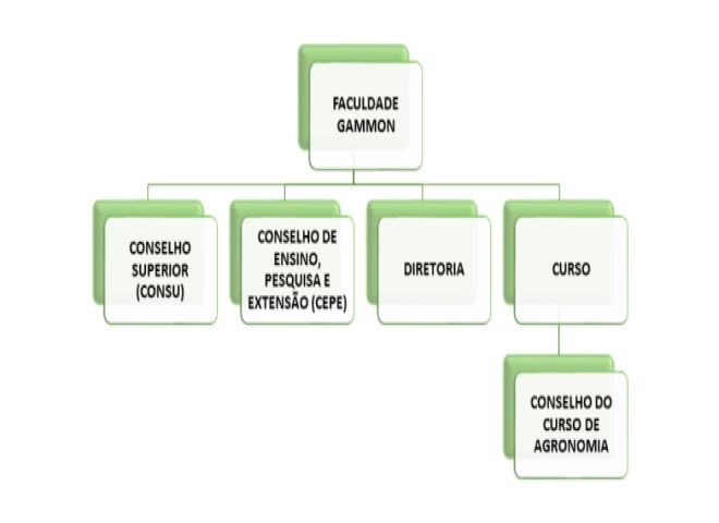 Estrutura Organizacional